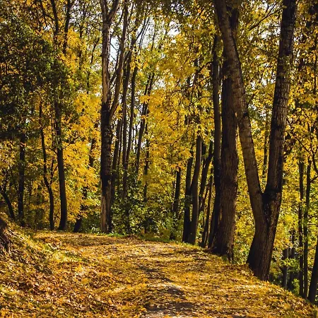 La Pause Du Perche - Au Pied De La Foret Nyaraló *