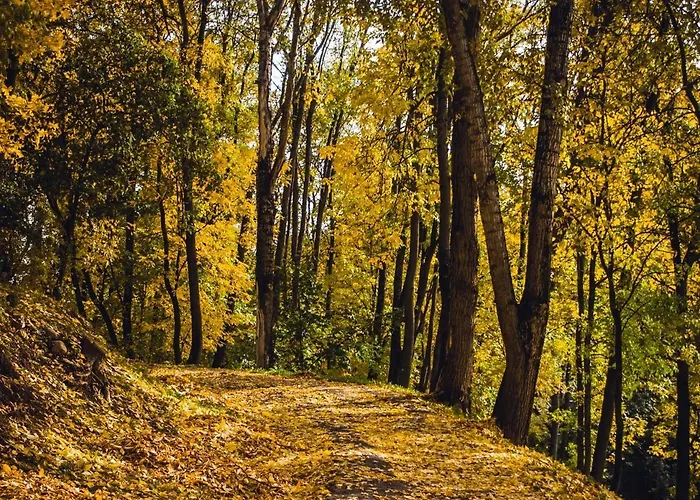 La Pause Du Perche - Au Pied De La Foret Semesterbostad *